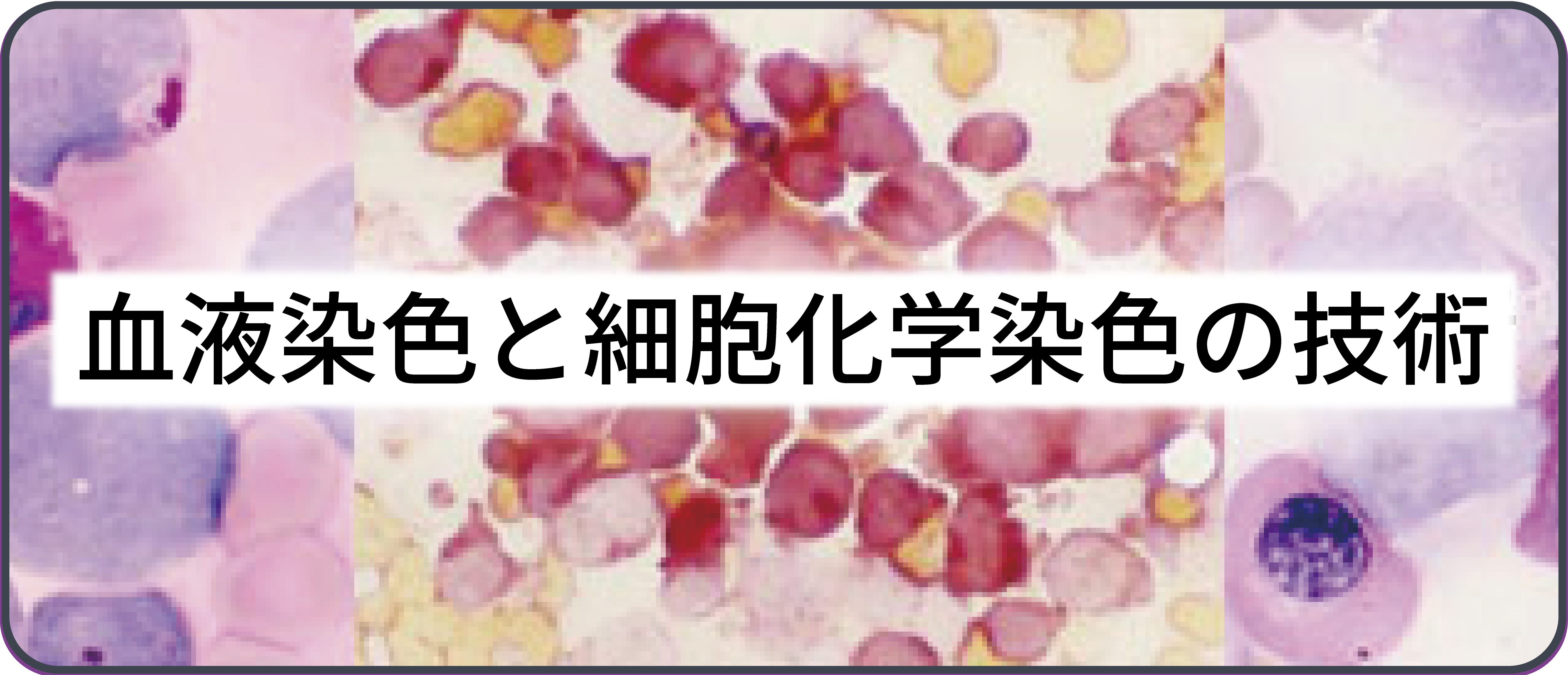 血液染色と細胞化学染色の技術